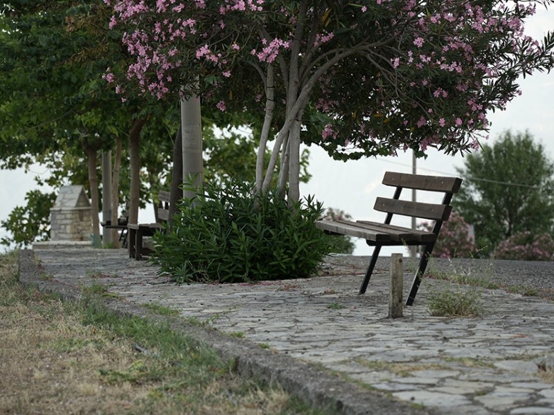 dsc03678