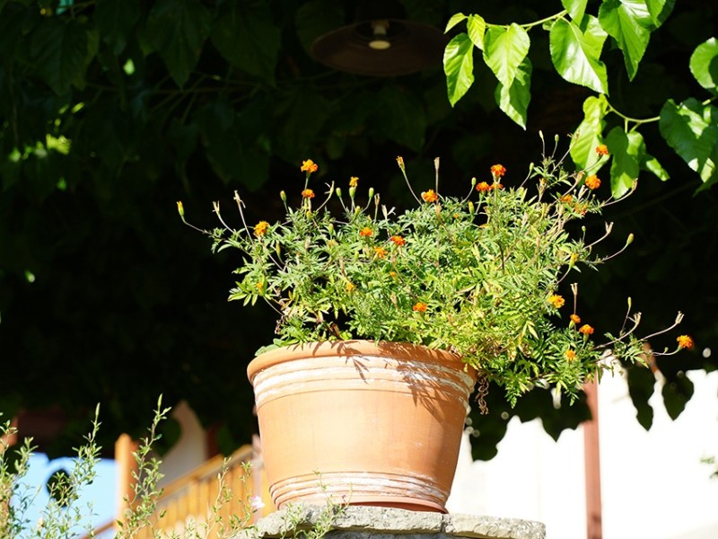 dsc04501