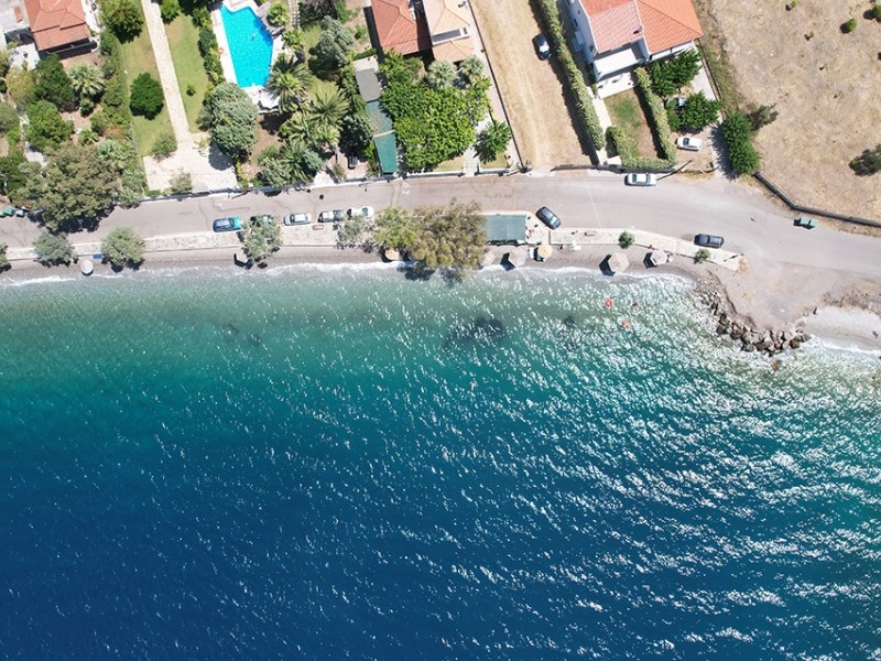dji 0701
