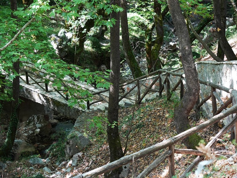 dsc04899