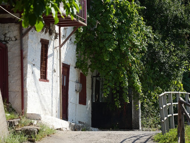 dsc05334