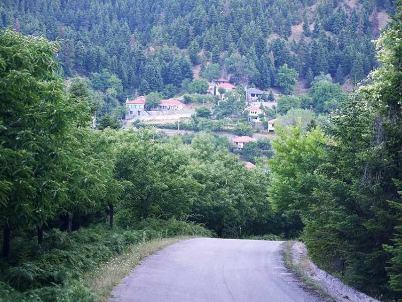 dsc05251