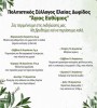 ekdeloseis sten elaia doridas  8   19 augoustou 2025