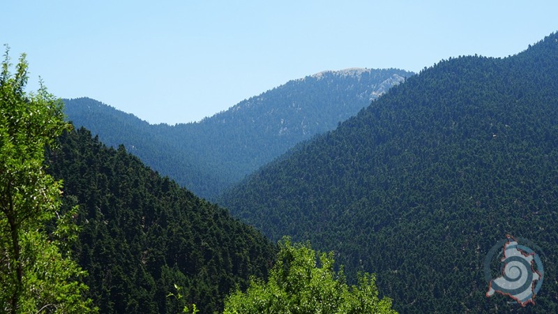 dsc04677