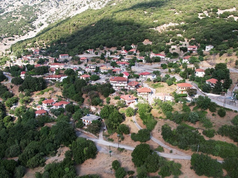 dji 0221