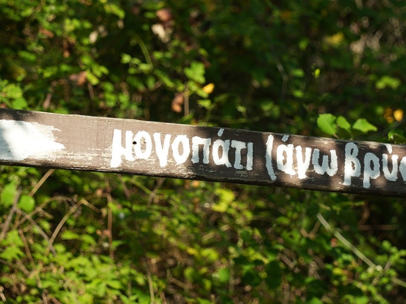 dsc04400