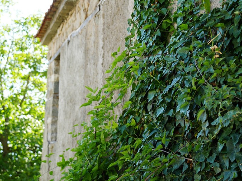 dsc04540
