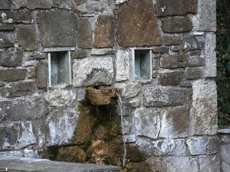 dsc04493