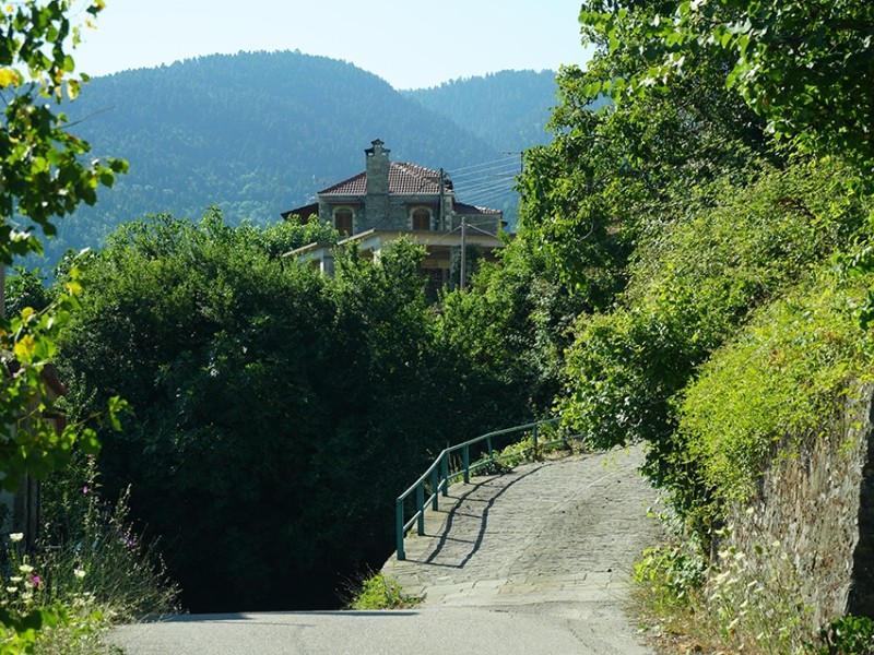 dsc04561